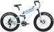 Vélo électrique 1000 W Montagne