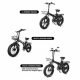 Velo Electrique VTT Fat Bike 26 Pouces Pliant Double Batterie Montagne Ebike pour Homme Femme (Noir-Vert)